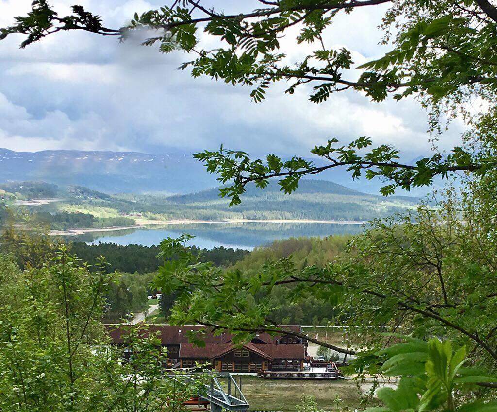Raulandsfjell Aparthotel Buitenkant foto